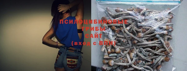 ПСИЛОЦИБИНОВЫЕ ГРИБЫ Алексин
