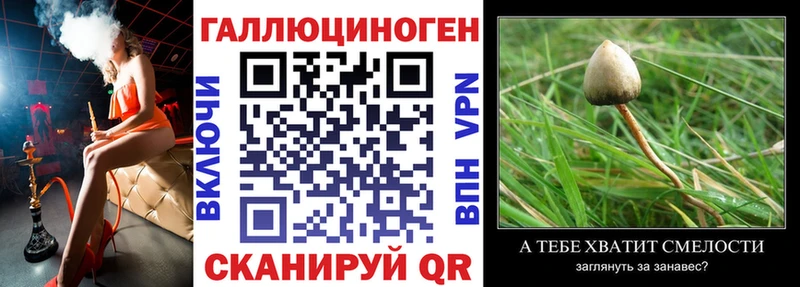 продажа наркотиков  Плавск  Псилоцибиновые грибы ЛСД 